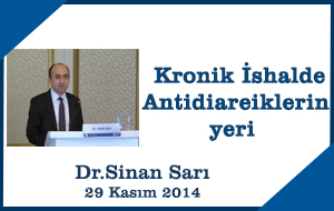 13-sinansari